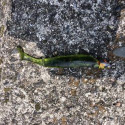 安定のスイムジグ