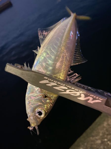 夕マズメチャレンジ