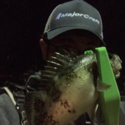 トリプルクロスで春メバリング