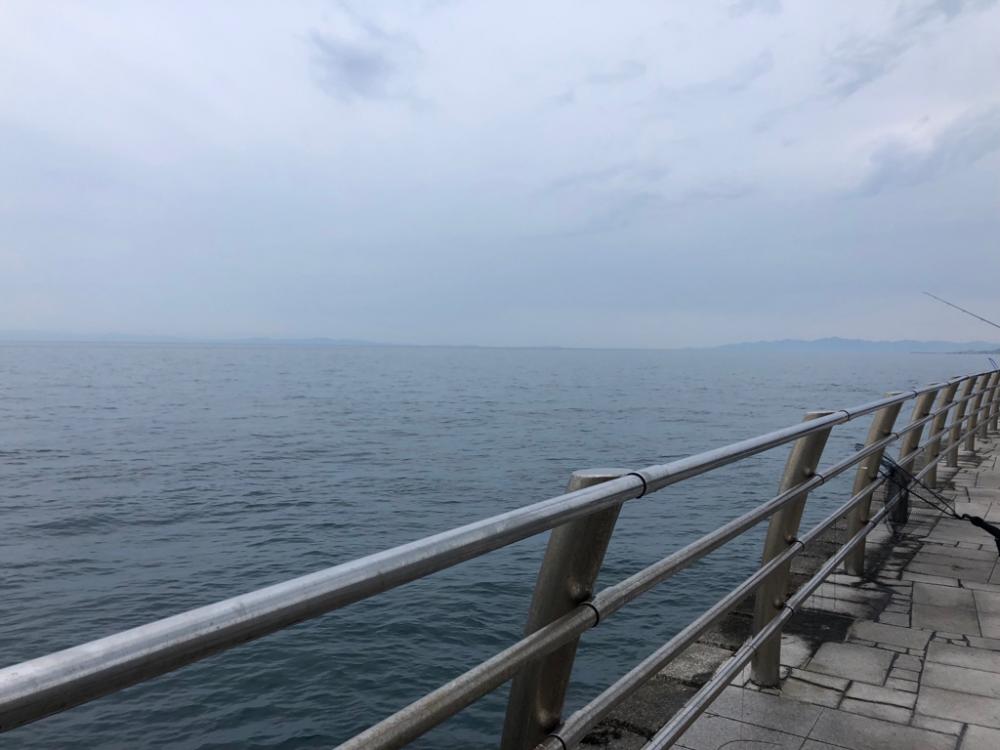 今年初の翼港にて…