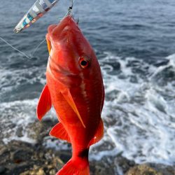 ターゲットが広くて万能なジャックアイエースに助けられました