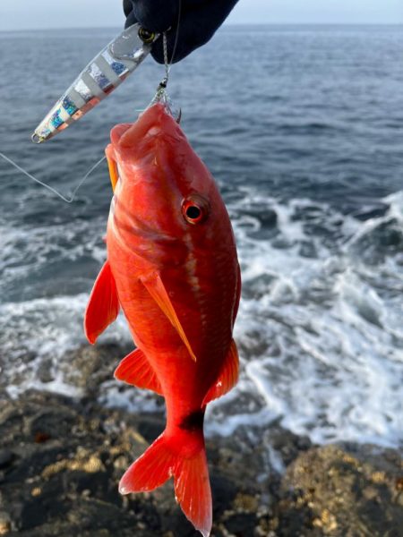 ターゲットが広くて万能なジャックアイエースに助けられました