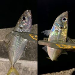 パターンの見つけ方