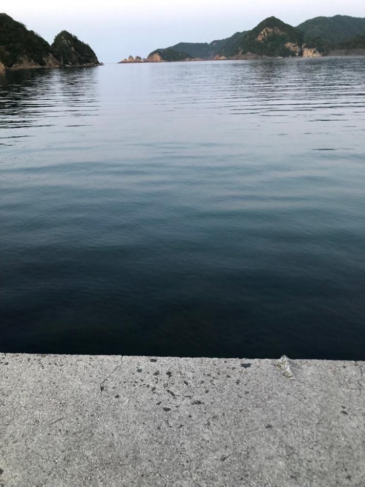 仕事帰りのエギング！