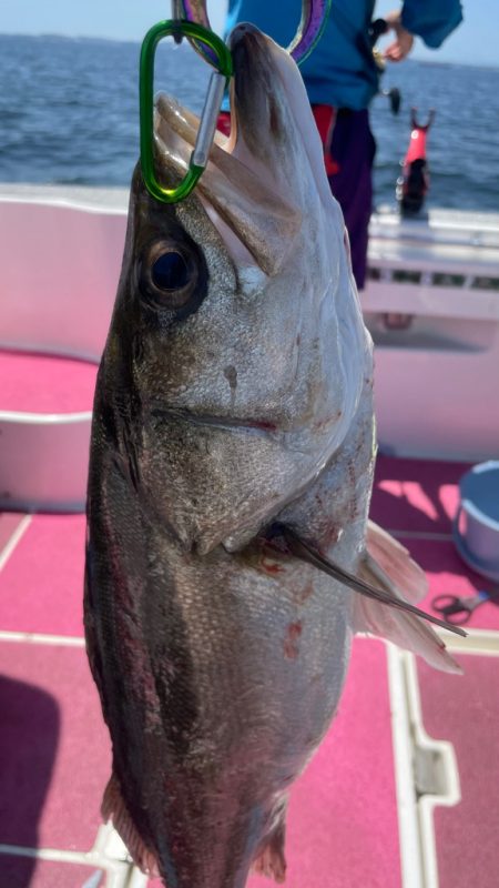 おニューロッドの鱗付け完了w