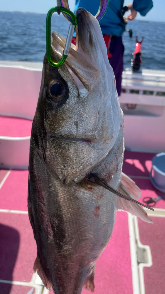 おニューロッドの鱗付け完了w