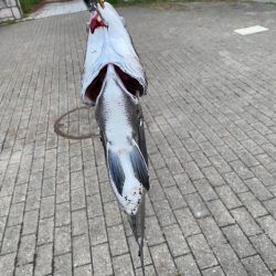 ヘチってきました