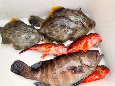 ゴールデン五目便