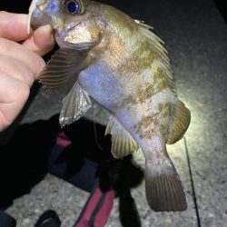 ジグ単ドリフト