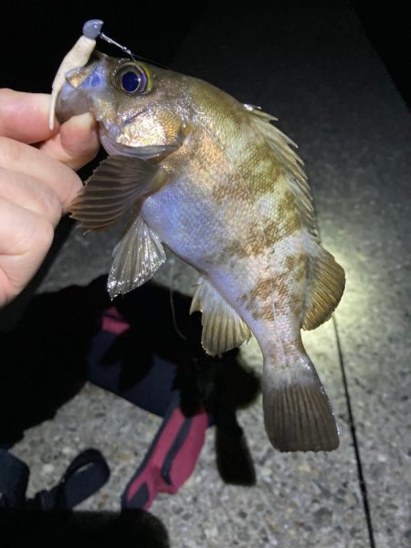 ジグ単ドリフト