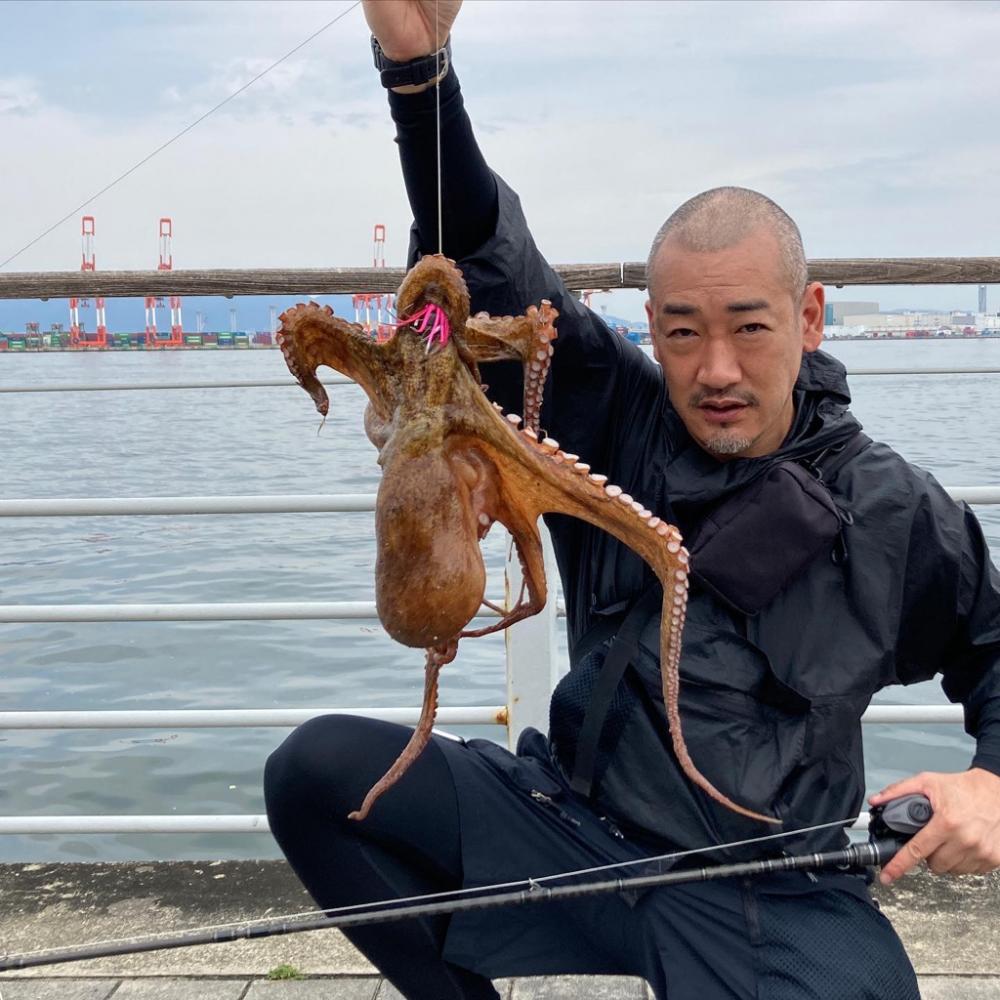 初蛸。1735g。。。