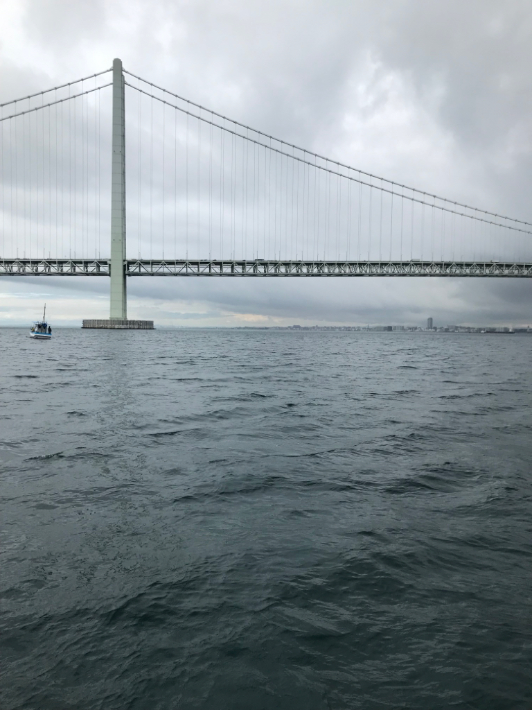 明石海峡の青物ジギング