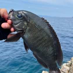 フカセ釣り釣行