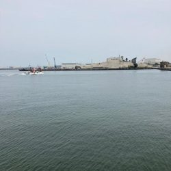 ⭐︎釣り人の醍醐味