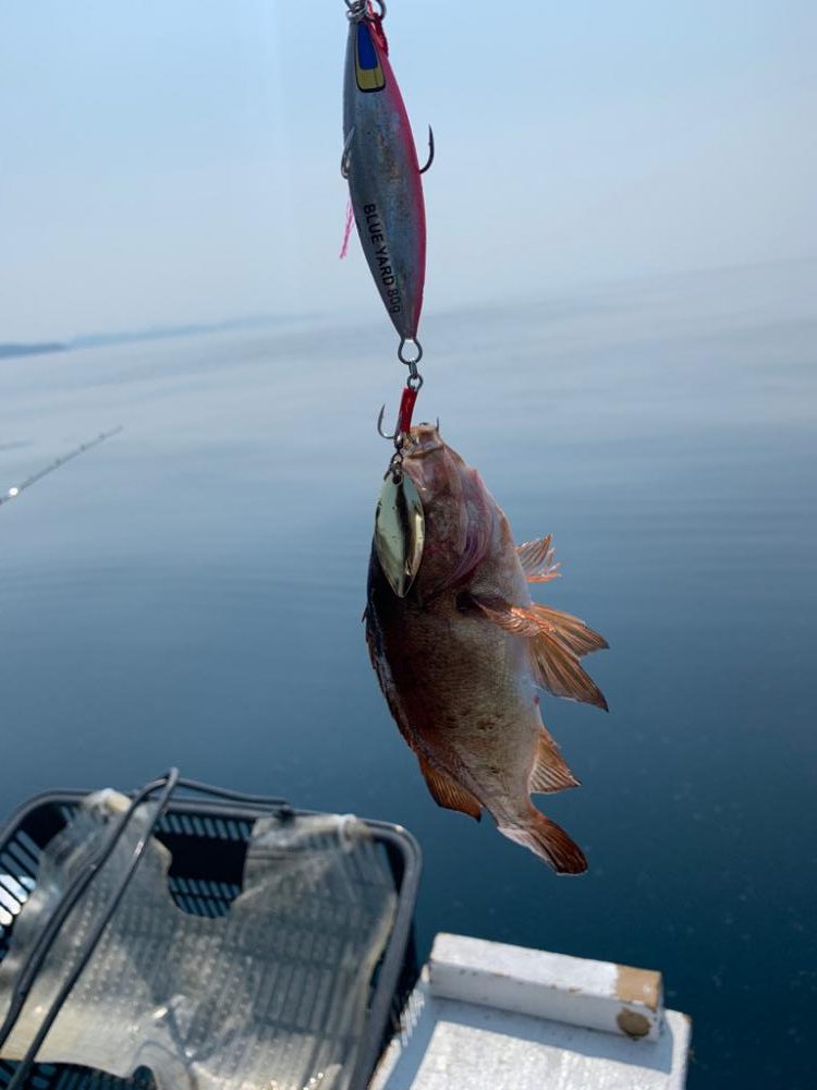 マイボートで丹後沖でジギング