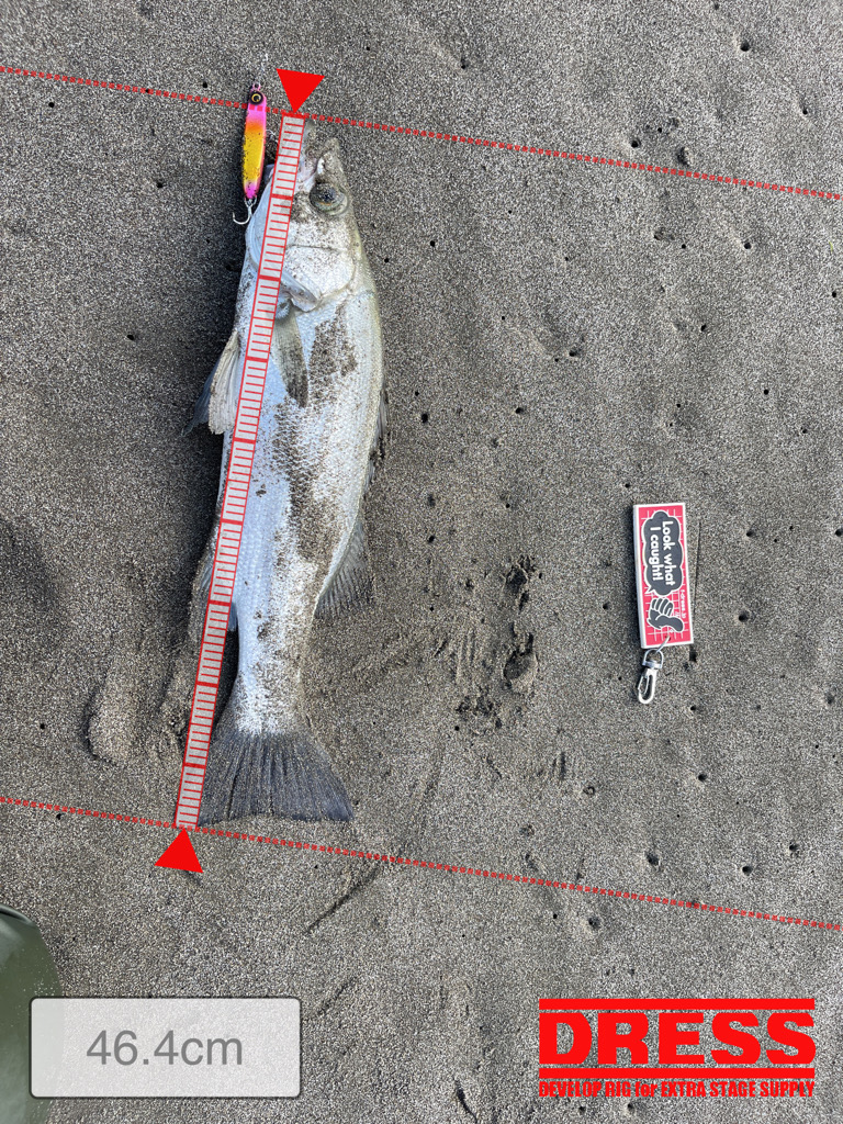 初の宮崎は大負け