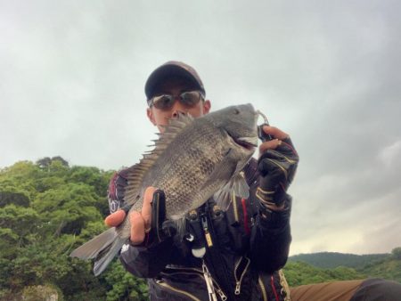 ノッコミチヌ最盛期