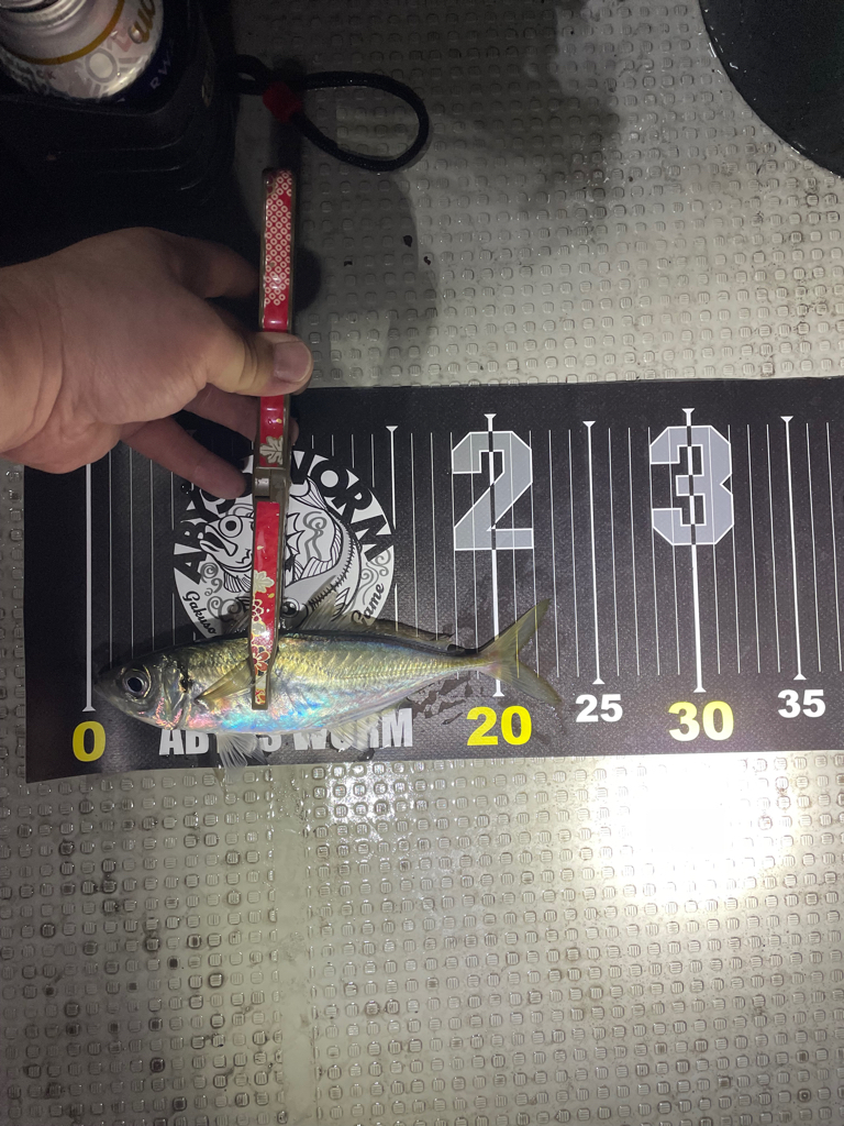 初ボートアジング