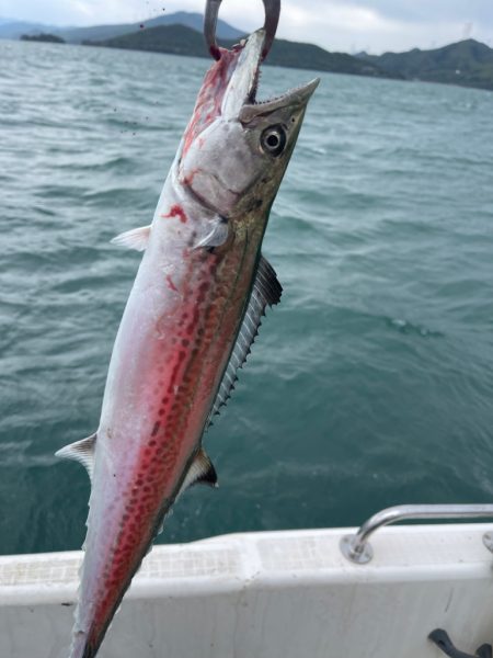 今年初のマイボート釣行