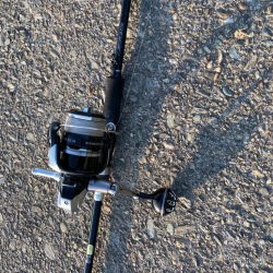 コウイカサイトフィッシング