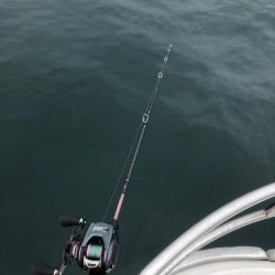 明石タイラバ！