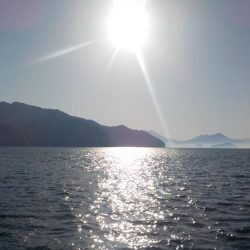 起死回生の日本海初グレ