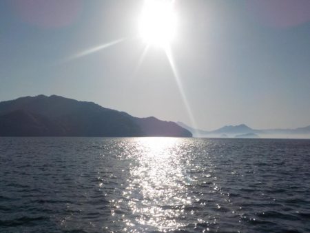 起死回生の日本海初グレ