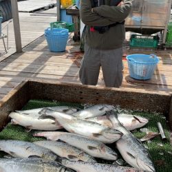 海恵のサーモンコーナー