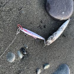 マイクロスリムジグ