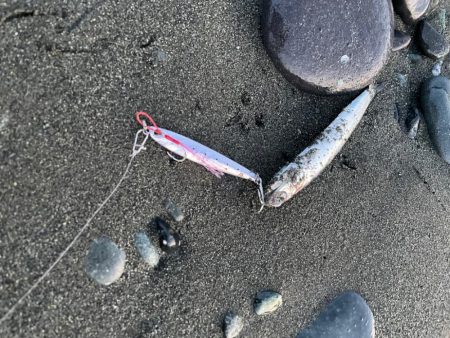 マイクロスリムジグ