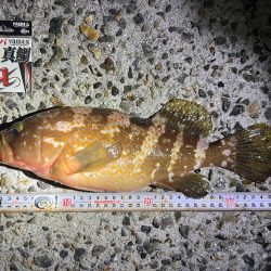 投げでキジハタ狙い