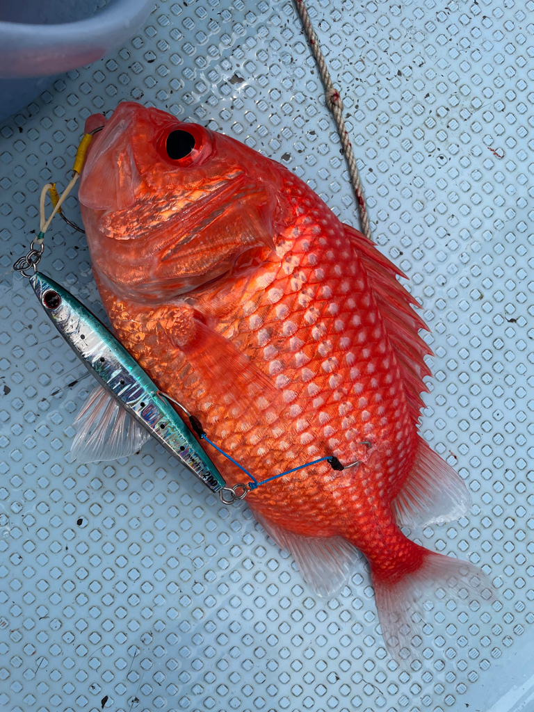 足摺岬沖スロージギング