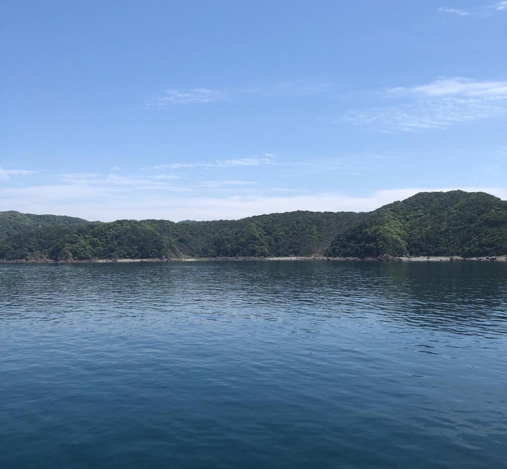 やっと今年初青物