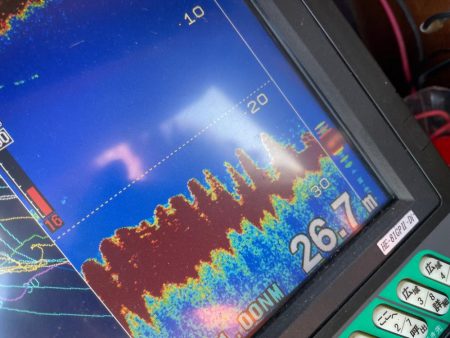 ガチンコロックフィッシュ