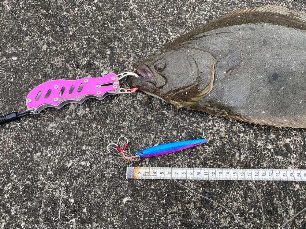 カマスにルアーを合わせてみたら連発！