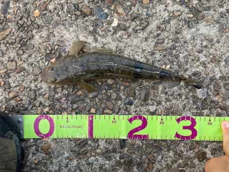 大本命✨だけどちっさ