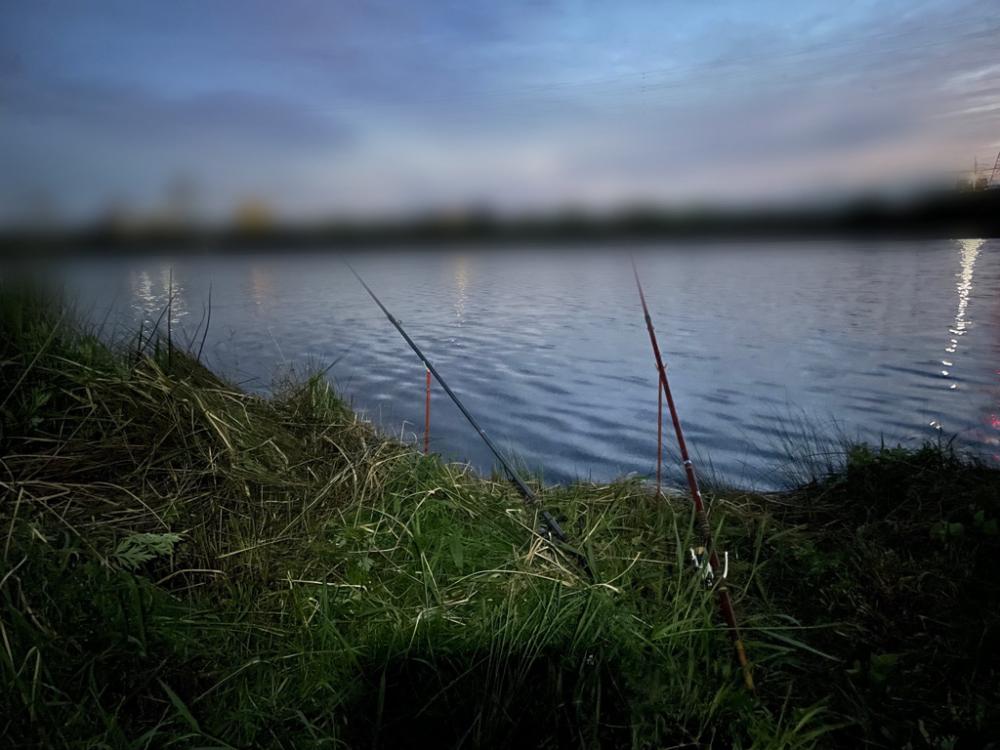 今シーズン初のウナギ調査