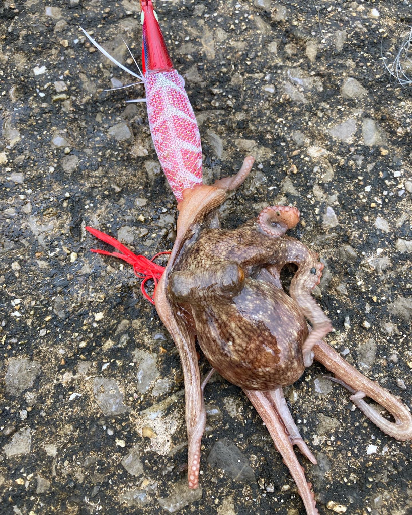 ⭐︎6-3.4-2.3-5上昇傾向