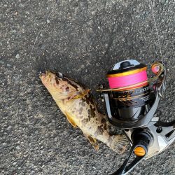 ファーストインプレッション