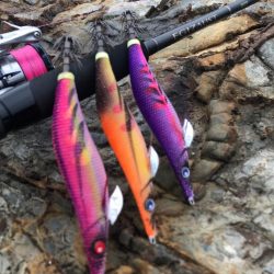 磯からのベイトフェザーネオグローで春エギング!