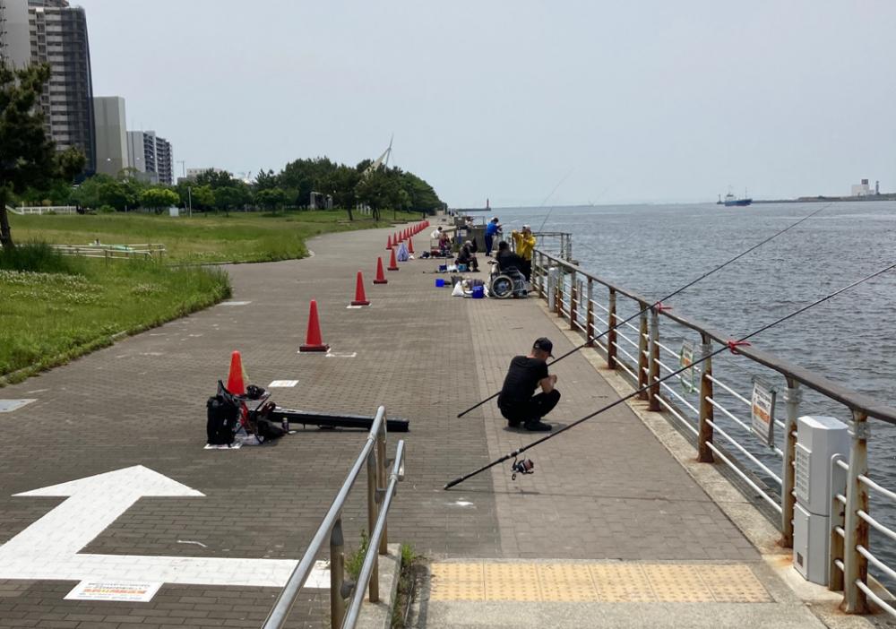 今季2度目の蛸散歩。超新子1杯。。