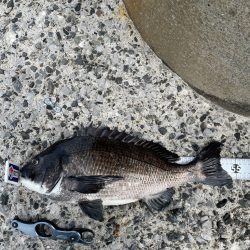 鶴見にで歳無し！