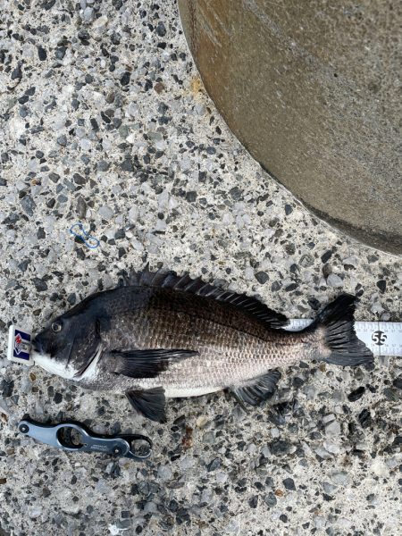 鶴見にで歳無し！