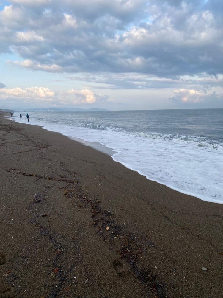 サーフジギング