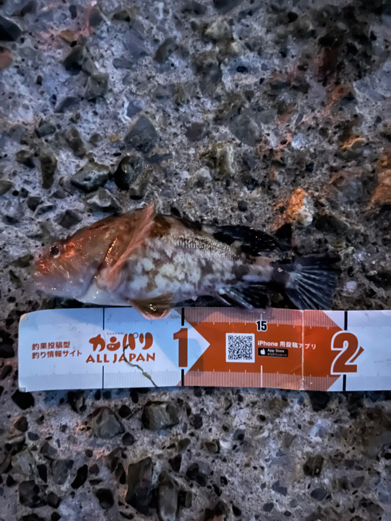 季節の変わり目