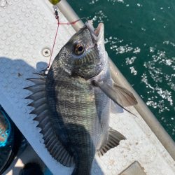 一つテンヤ❗️