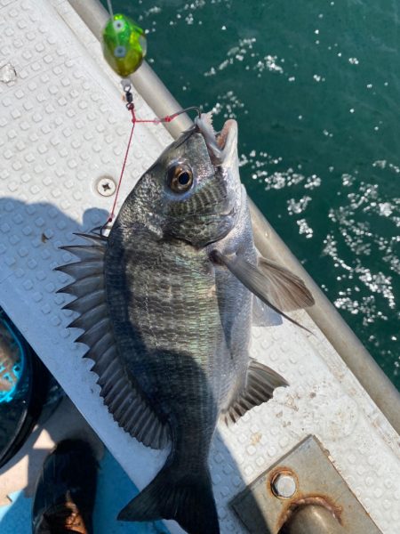 一つテンヤ❗️