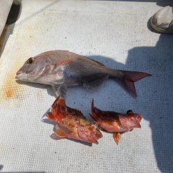 鯛ラバ’22 12回目