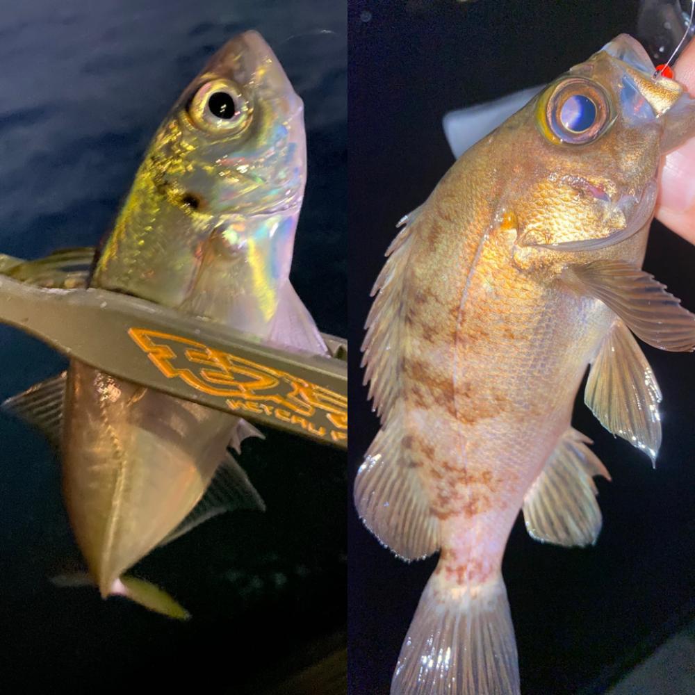 沈下速度は、重要!