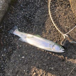 そろそろ終わりかな